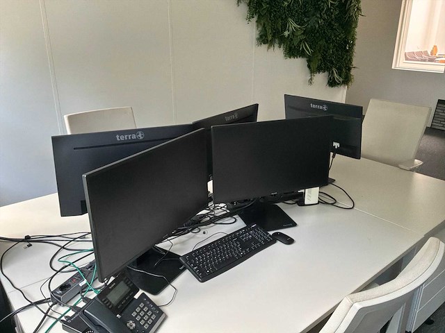 Terra monitor (5x) - afbeelding 5 van  7