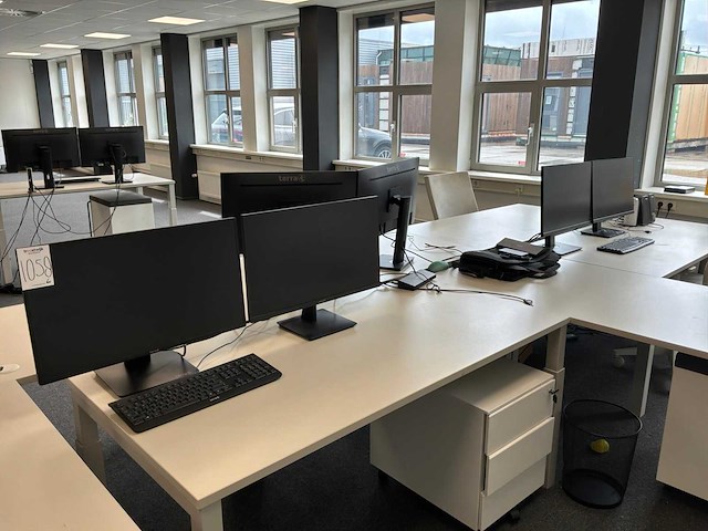 Terra monitor (6x) - afbeelding 3 van  10
