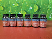 Terra voedingssupplementen, diverse soorten o.a. cranberry & dandelion artichoke & cysteine - afbeelding 1 van  9
