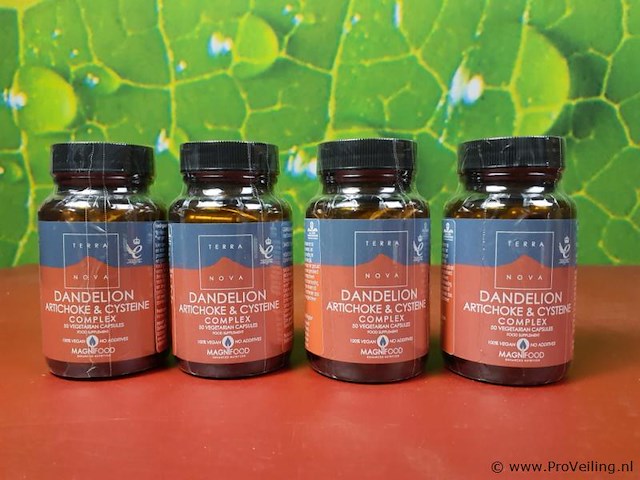 Terra voedingssupplementen, diverse soorten o.a. cranberry & dandelion artichoke & cysteine - afbeelding 2 van  9