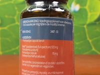 Terra voedingsupplement, diverse soorten o.a. probiotic complex, reishi & black garlic - afbeelding 13 van  21