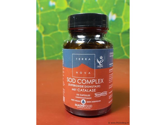 Terra voedingsupplement, diverse soorten o.a. smooth synergy, quercetin & spijsvertering enzymen - afbeelding 12 van  19
