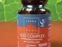 Terra voedingsupplement, diverse soorten o.a. smooth synergy, quercetin & spijsvertering enzymen - afbeelding 12 van  19