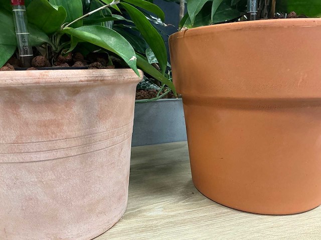 Terracotta planten met pot (3x) - afbeelding 3 van  3