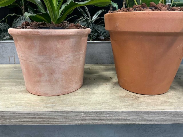 Terracotta planten met pot (3x) - afbeelding 3 van  3