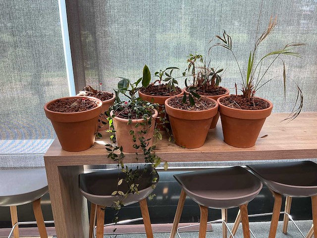 Terracotta planten met pot (7x) - afbeelding 2 van  3