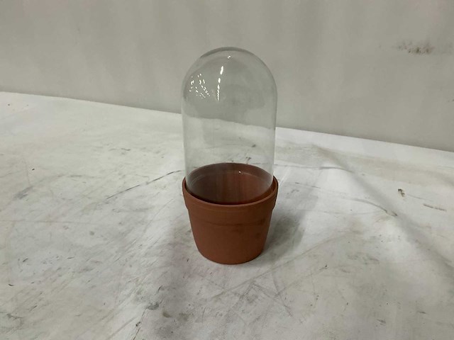 Terrarium pot (6x) - afbeelding 1 van  7