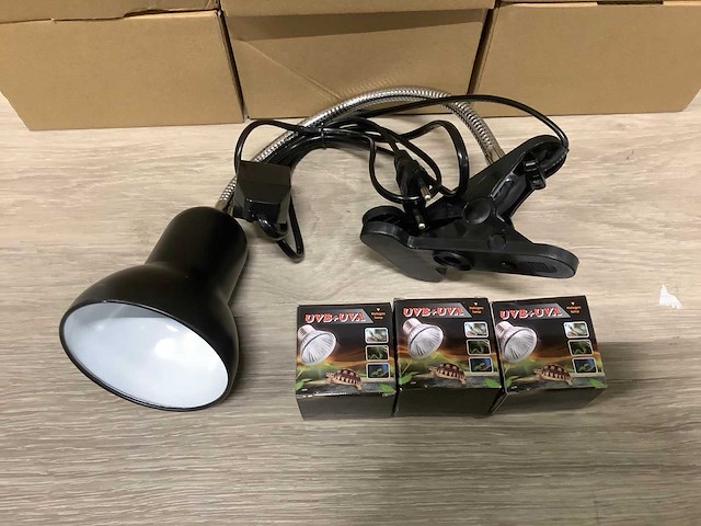 Terrarium verlichting (11x) - afbeelding 1 van  3