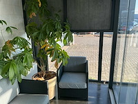 Terras overkapping terrasoverkapping - afbeelding 10 van  13