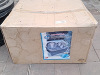 Terrasfontein olympia garden, cosmos - afbeelding 1 van  5