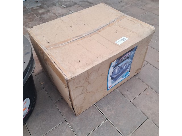 Terrasfontein olympia garden, cosmos - afbeelding 3 van  5