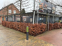 Terrasoverkapping - afbeelding 1 van  20