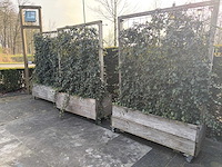 Terrasscherm (6x) - afbeelding 1 van  9