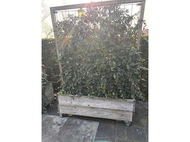 Terrasscherm (6x) - afbeelding 2 van  9