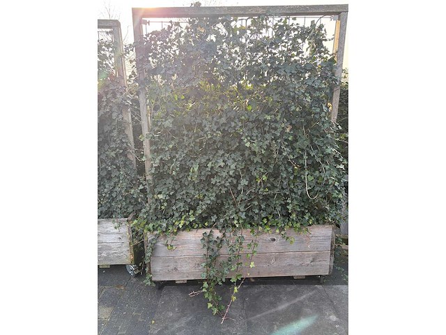 Terrasscherm (6x) - afbeelding 3 van  9