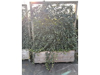 Terrasscherm (6x) - afbeelding 3 van  9