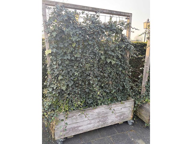 Terrasscherm (6x) - afbeelding 4 van  9