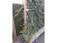 Terrasscherm (6x) - afbeelding 5 van  9