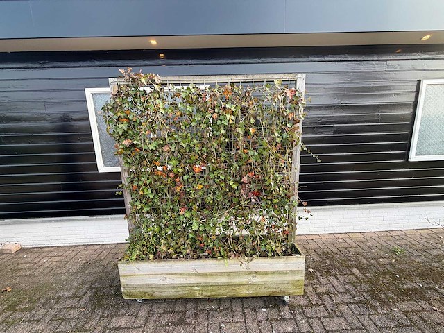 Terrasscherm (6x) - afbeelding 7 van  9