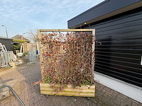 Terrasscherm (6x) - afbeelding 8 van  9