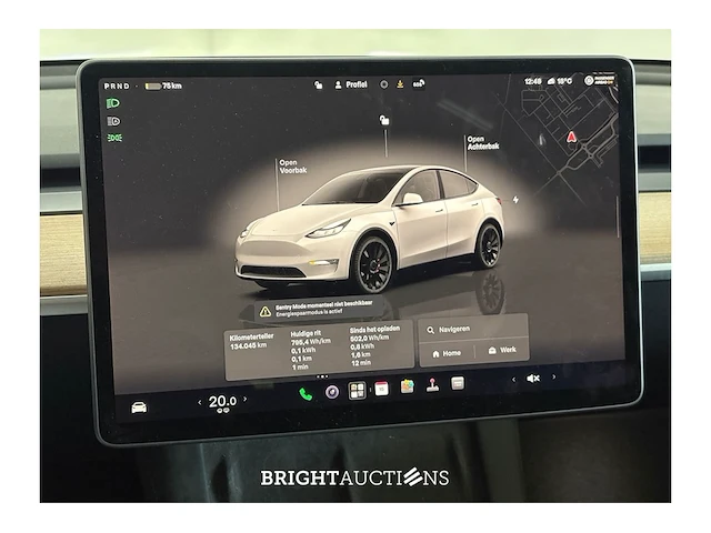 Tesla model y performance awd 75 kwh 2022 (origineel-nl), r-287-hz - afbeelding 10 van  39