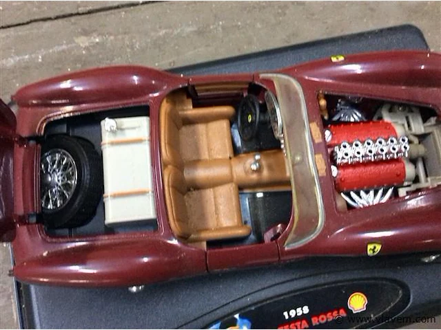Testa rossa - afbeelding 3 van  5