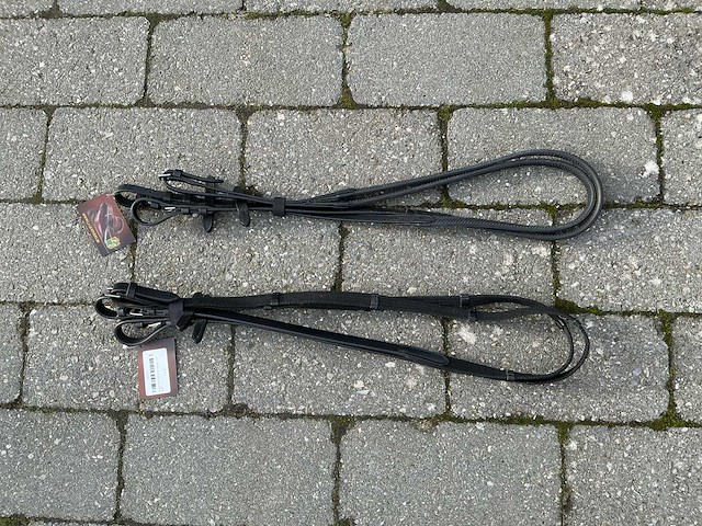 Teugels paarden (2x) - afbeelding 1 van  4