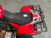 Tgb - quad - quad - afbeelding 3 van  18