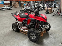 Tgb - quad - quad