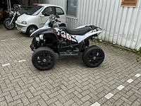 Tgb quad - afbeelding 6 van  13