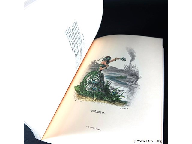 The court of flora - afbeelding 3 van  5