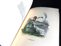 The court of flora - afbeelding 3 van  5