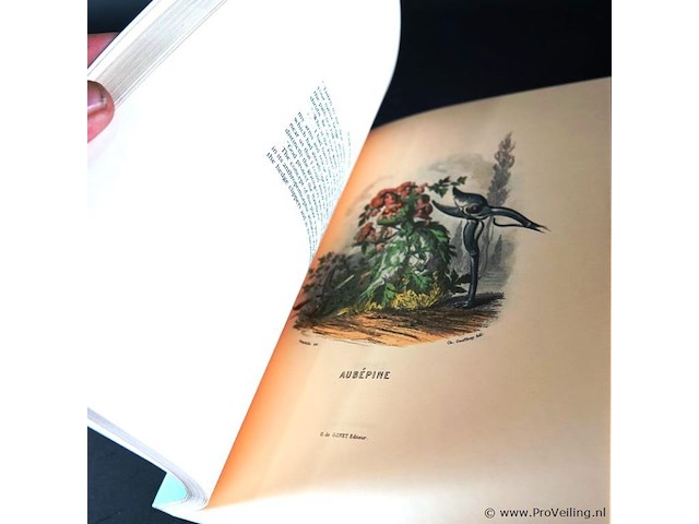 The court of flora - afbeelding 4 van  5