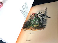 The court of flora - afbeelding 4 van  5