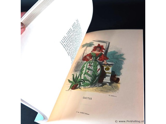 The court of flora - afbeelding 5 van  5