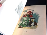 The court of flora - afbeelding 5 van  5