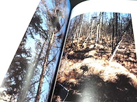 The great gray owl - afbeelding 4 van  5