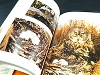 The great gray owl - afbeelding 5 van  5