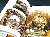 The great gray owl - afbeelding 5 van  5