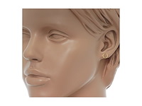The jewelry collection oorknoppen cirkel geelgoud - afbeelding 2 van  2