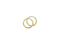 The jewelry collection oorringen ronde buis geelgoud
