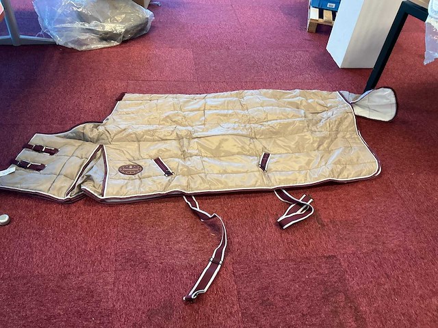 Thermostaat staldek - afbeelding 1 van  2