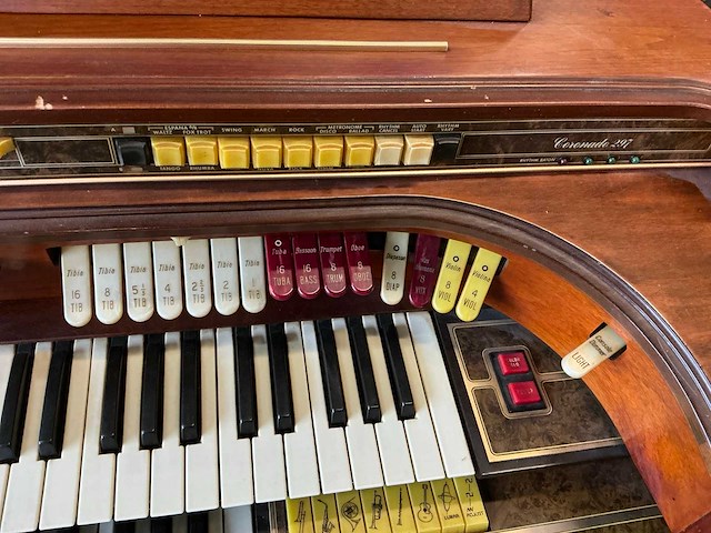 Thomas coronado 297 orgel - afbeelding 2 van  21