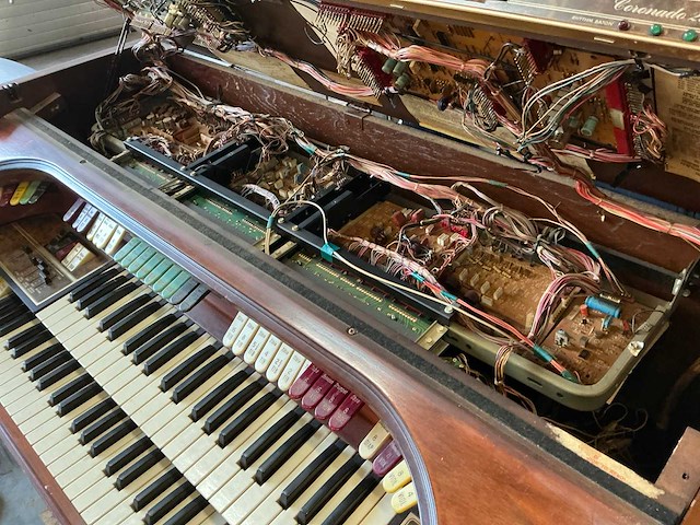 Thomas coronado 297 orgel - afbeelding 9 van  21