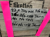 Thomas par-spot (62x) - afbeelding 7 van  7