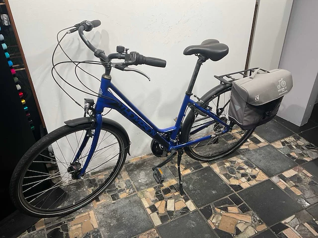 Thompson cosmos damesfiets l43 - afbeelding 2 van  6