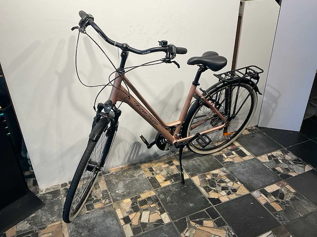 Thompson rave 2025 damesfiets 19” - afbeelding 2 van  9