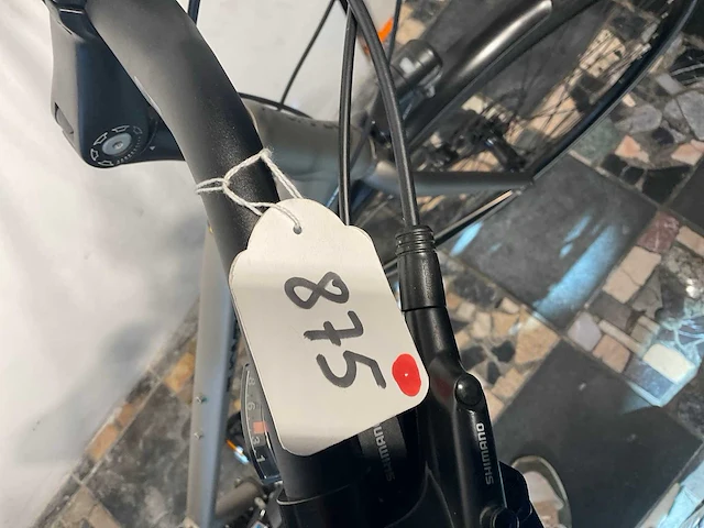 Thompson s6600 equiped damesfiets d19 - afbeelding 9 van  9
