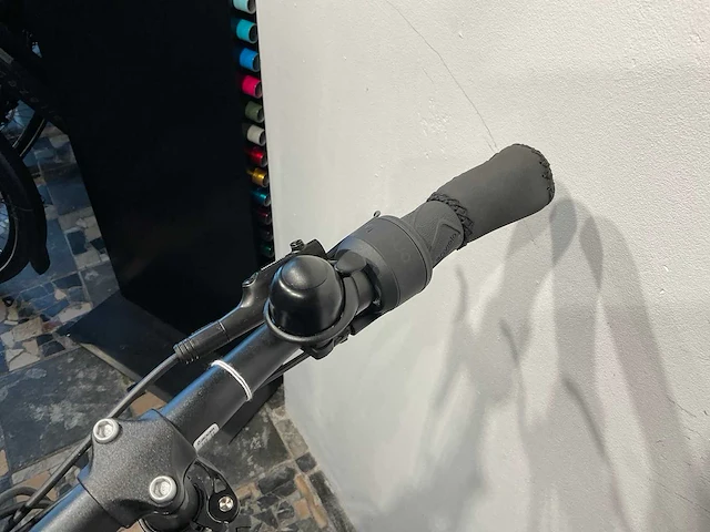 Thompson traveler tr-5000 enviolo/belt elektrische fiets - afbeelding 10 van  11