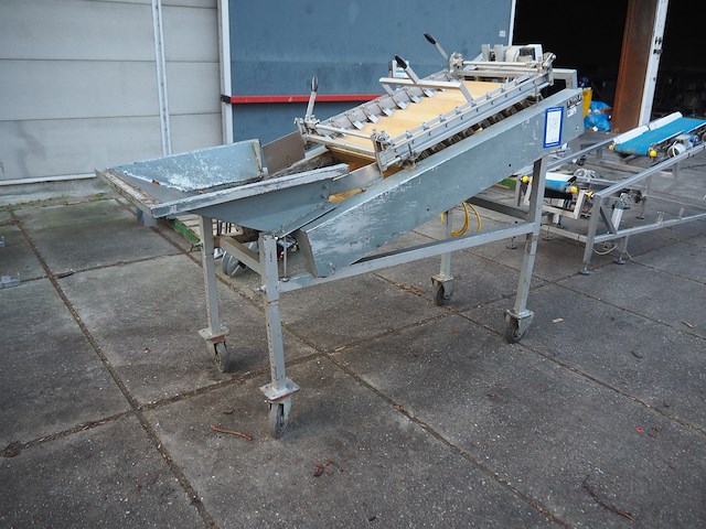 Tibo - afbeelding 2 van  8